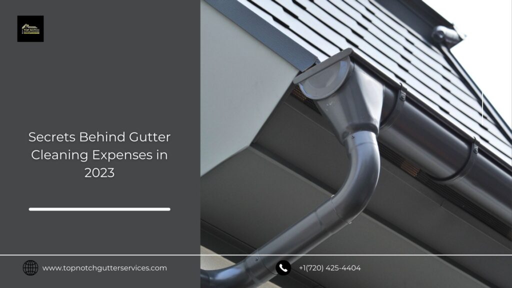 Gutter Cleaning Expenses