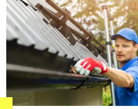 Gutter & Awning Cleaning​