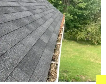 Gutter Cleaning Services in Lakewood, Denver