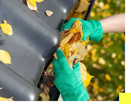 Why Clean Your Gutters?