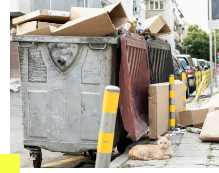 Expert Trash Removal Service