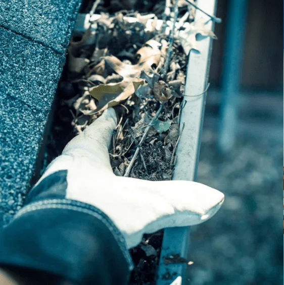 Roof Gutter Cleaner