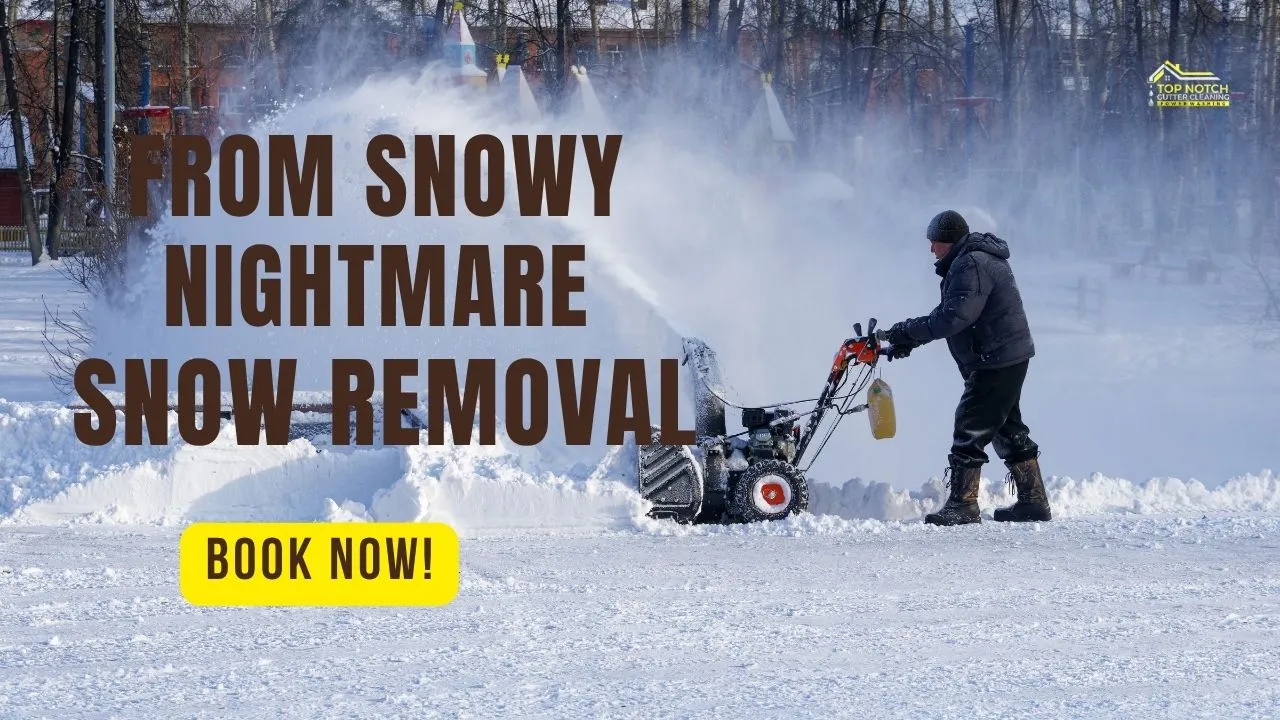From Snowy Nightmare to Cozy Delight: Denver's Best Snow Removal Strategies