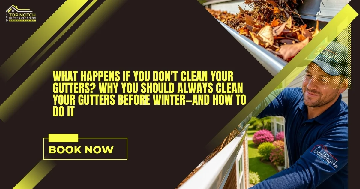 What Happens If You Don't Clean Your Gutters? Why You Should Always Clean Your Gutters Before Winter—and How to Do It